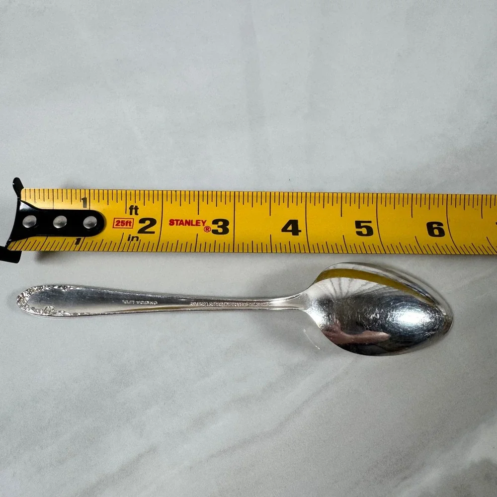 Oneida set vintage